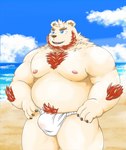 anthro asian_clothing beach belly big_belly blue_eyes bulge clothing detailed_background east_asian_clothing fundoshi humanoid_hands japanese_clothing kemono male moobs nipples outside overweight overweight_male seaside solo underwear water white_clothing white_fundoshi white_underwear morino8484 bear mammal 2022 hi_res