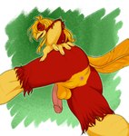 anthro anus backsack balls beak butt feathers genitals hair long_hair long_tail male penis perineum presenting presenting_hindquarters red_body red_feathers tail yellow_beak yellow_body yellow_feathers luvbabiana glori_gamebird avian bird chrysolophus galliform golden_pheasant phasianid hi_res