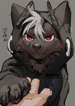 anthro biped black_body black_clothing black_fur black_hoodie black_topwear clothing fur furgonomic_headwear furgonomic_hood furgonomics hoodie kemono looking_at_viewer male red_eyes slim_anthro slim_male solo topwear windwttom canid canine canis mammal wolf 2024 hi_res