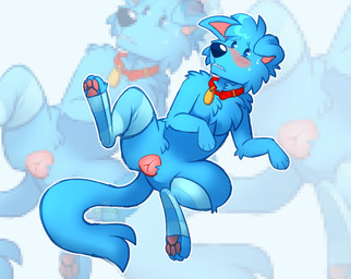 animal_genitalia animal_vulva canine_genitalia canine_vulva clothing collar female feral genitals leg_markings legwear markings presenting socks_(marking) solo thigh_highs toony vulva cannedcanine fart_dog_(cannedcanine) canid canine mammal nonbinary_(lore)