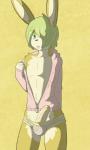 anthro briefs bulge clothing erection exposed genitals green_eyes green_hair hair hoodie male penis penis_poking_out solo topwear underwear munkeesgomu lotte_(munkeesgomu) lagomorph leporid mammal rabbit 2013 hi_res