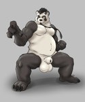 anatomically_correct animal_genitalia animal_penis anthro balls belly big_balls black_body fur genitals hair male monk nude overweight overweight_male penis sheath simple_background solo white_body white_fur yariku_(artist) blizzard_entertainment warcraft ji_firepaw bear giant_panda mammal pandaren digital_media_(artwork) hi_res