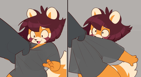 5_fingers ambiguous_gender claws clothing clothing_pull constricted_pupils duo facial_markings female finger_claws fingers fur grey_background grey_body grey_clothing grey_fur grey_shirt grey_topwear hair head_markings markings open_mouth orange_body orange_fur orange_inner_ear pupils red_hair red_markings shirt shirt_grab shirt_pull simple_background small_pupils solo_focus striped_markings striped_tail stripes tail tail_markings tail_tuft tongue topwear topwear_pull tuft white_body white_fur white_markings payanuma payanda polf_(payanuma) ailurid ambiguous_species mammal red_panda 2025 hi_res multiple_scenes male_(lore)