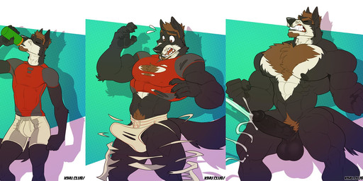 5_fingers abs anthro aphrodisiac athletic balls base_one_layout basic_sequence biceps biped black_nose bodily_fluids body_hair bottomwear brown_hair chest_hair clothed clothing cum cumshot ejaculation erection facial_hair fingers genital_fluids genitals goatee growth hair hands-free humanoid_genitalia humanoid_penis jockstrap linear_sequence male muscle_growth muscular muscular_anthro muscular_male navel nipples nude one_row_layout orgasm orgasm_from_transformation pecs penis pubes shirt shorts solo tenting three_frame_image three_frame_sequence topwear torn_clothing transformation transformation_sequence underwear kihu nex_anima_canis canid canine canis mammal wolf 2019 hi_res sequence