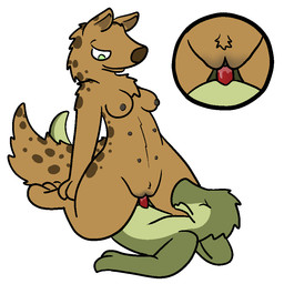 anthro breasts duo erection female female_penetrated fur genitals interspecies male male/female male_penetrating male_penetrating_female nipples nude penetration penile penile_penetration penis penis_in_vagina sex simple_background size_difference vaginal vaginal_penetration vulva trout_(artist) gnoll hyena kobold mammal scalie spotted_hyena 1:1 2016 aliasing digital_media_(artwork)