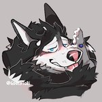 blush bodily_fluids cum cum_drip cum_on_face dripping face_closeup genital_fluids good_boy licking oral piercing reward tongue tongue_out goatytobi leo_(goatytobi) vrek canid canine canis domestic_dog husky hyena mammal nordic_sled_dog spitz spotted_hyena 1:1