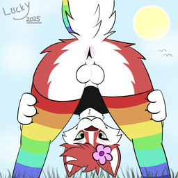 accessory anthro anus backsack balls butt clothing flower flower_in_hair fur genitals green_eyes hair hair_accessory imminent_sex legwear looking_at_viewer looking_smug male plant presenting presenting_anus presenting_hindquarters red_body red_fur solo thigh_highs white_body white_fur oneluckydeer canid canine canis domestic_dog husky mammal nordic_sled_dog spitz 1:1 hi_res