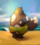 3_toes 4_fingers anthro brown_body brown_eyes brown_fur brown_nose clothing cloud day dipstick_tail feet fingers fluffy fluffy_tail fur green_clothing green_swimwear male markings outside overweight overweight_anthro overweight_male pawpads sand sea seaside sky smile solo spots swimming_trunks swimwear swimwear_only tail tail_markings toes walking water wave white_body white_fur white_pawpads torrn canid canine canis domestic_dog mammal 2023 absurd_res digital_drawing_(artwork) digital_media_(artwork) hi_res signature smaller_version_at_source