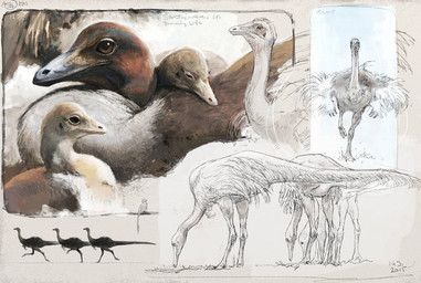black_eyes brown_body brown_eyes brown_feathers feathers feral running white_body white_feathers young renum63 dinosaur ornithomimid ornithomimosaur prehistoric_species reptile saurischian scalie struthiomimus theropod 2015 artrage_(artwork) digital_media_(artwork) digital_painting_(artwork) painting_(artwork) sketch