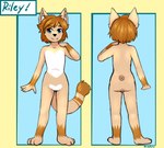 anthro blue_eyes brown_hair closed_smile featureless_crotch front_view fur glistening glistening_eyes hair looking_at_viewer male mouth_closed nude orange_body orange_fur rear_view short_hair smile solo standing riddlr riley_(riddlr) canid mammal full-length_portrait model_sheet portrait