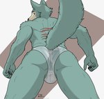 anthro balls briefs bulge bulge_from_behind butt clothed clothing fur genitals low-angle_view male muscular presenting presenting_hindquarters rear_view simple_background solo tail translucent translucent_clothing underwear delta_dewitt beastars legoshi_(beastars) canid canine canis mammal wolf digital_media_(artwork) hi_res