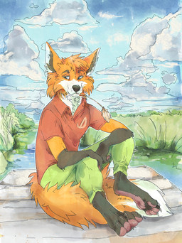 anthro clothing cloud grass male plant sky solo philomena_(artist) canid canine fox mammal hi_res