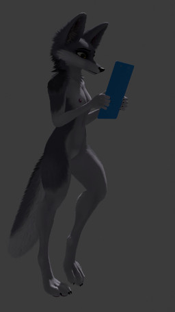 anthro biped casual_nudity clipboard digitigrade ears_up female female_anthro flat_chested genitals nipples nude nude_anthro nude_female paws solo tail tail_motion tailwag three-quarter_view vulva walk_cycle walking pilvi_animations ruaidri_(modeler) canid canine fennec_fox fox mammal true_fox 3d_(artwork) 3d_animation 9:16 animated digital_media_(artwork) hi_res no_sound shaded short_playtime soft_shading video