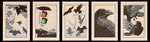 ambiguous_gender crosswalk feral fight flying group leaf outside plant print_(medium) tree umbrella mokuhankan thejedhenry avian bird corvid corvus_(genus) crow domestic_cat felid feline felis human mammal oscine passerine 2022 absurd_res hi_res