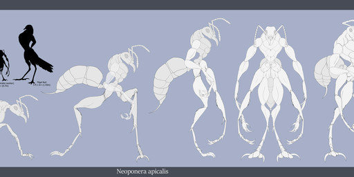 4_toes all_fours ambiguous_gender anisodactyl antennae_(anatomy) anthro beady_eyes comparing digitigrade feathers feet group hands_on_hips larger_ambiguous larger_male lineup male mandibles multi_arm multi_leg multi_limb multiple_angles nude semi-anthro silhouette simple_background size_difference smaller_ambiguous smaller_male solo_focus stinger tail tail_feathers text toes gunzcon ant arthropod avian dwarf human humanoid hymenopteran insect mammal absurd_res digital_media_(artwork) english_text hi_res model_sheet