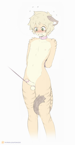 anthro bdsm black_body black_fur blonde_hair blush bodily_fluids bondage bound cock_and_ball_torture collar erection femboy foreskin fur genital_leash genital_torture genitals green_eyes hair humanoid_genitalia humanoid_penis leash looking_down male orange_body orange_fur penis penis_leash plantigrade restrained sex_slave short_hair simple_background slave solo submissive submissive_male sweat tears white_background yellow_body yellow_fur powfooo tay_(powfooo) animal_humanoid felid humanoid mammal pantherine tiger 2014 digital_media_(artwork) hi_res