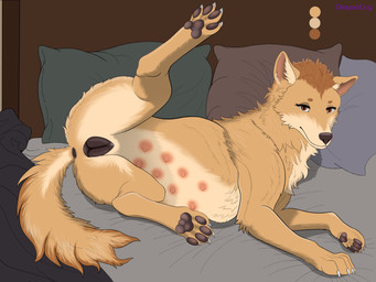 8_nipples animal_genitalia animal_vulva anus bedroom bedroom_eyes canine_genitalia canine_vulva female female_feral feral genitals multi_nipple narrowed_eyes nipples paws pillow presenting raised_leg seductive solo tail tail_anus teats vulva despairdog canid canine canis domestic_dog mammal 4:3 absurd_res hi_res