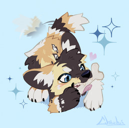 ambiguous_gender black_claws black_nose blue_eyes bone_in_mouth claws eyebrows fangs feral fur head_tuft heart_symbol inner_ear_fluff multicolored_body multicolored_fur nude object_in_mouth open_mouth snout solo tail tail_motion tailwag teeth tongue tongue_out tuft white_eyebrows young young_feral chibichu~ african_wild_dog canid canine mammal colored digital_drawing_(artwork) digital_media_(artwork) hi_res