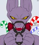 absurd_res anthro arms_bound_to_collar ball_gag bdsm beerus bondage bound collar collar_only cross-popping_vein cuff_(restraint) domestic_cat dragon_ball dragon_ball_super felid feline felis gag gagged grey_background hairless hairless_cat harness harness_ball_gag harness_gag harness_only hi_res leather male mammal muscular muscular_anthro muscular_male muzzle_(object) muzzled nude restraints shackles simple_background solo sphynx_(cat) spiritd submissive submissive_male teeth vein yellow_eyes