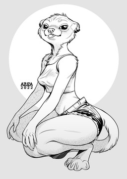 anthro blep bottomwear cheek_tuft chest_tuft clothed clothing crouching ear_piercing ear_ring facial_tuft female glistening glistening_eyes head_tuft inner_ear_fluff looking_at_viewer neck_tuft piercing ring_piercing simple_background solo text tongue tongue_out topwear tuft azuza domestic_ferret mammal mustelid musteline true_musteline weasel 2022 artist_name dated full-length_portrait hi_res monochrome portrait sketch