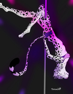 anthro dancing female pole pole_dancing solo terumbli neela_lightpaw felid leopard mammal pantherine snow_leopard hi_res
