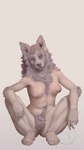 amber_eyes armpit_hair body_hair breasts crouching female for_a_head looking_at_viewer navel nipples plantigrade pubes smile smiling_at_viewer smirk smirking_at_viewer solo artcondedaniel animal_head canid canine humanoid mammal 4k 9:16 absurd_res hi_res