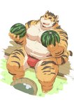 anthro belly bulge clothing food fruit humanoid_hands kemono male melon moobs nipples overweight overweight_anthro overweight_male plant pubes sitting solo underwear watermelon ayame42612 felid mammal pantherine tiger 2020