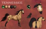 anatomically_correct anatomically_correct_anus anus backsack balls black_anus black_balls black_mane black_markings black_tail dock_(anatomy) equine_anus feral fur genitals glistening glistening_eyes green_eyes hooves horizontal_pupils male male_feral mane markings mouth_closed pupils quadruped rear_view side_view simple_background solo tail tan_body tan_fur unguligrade white_markings rufciu tennesseestud equid equine horse mammal tennessee_walker 2018 dated signature