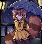 anthro blue_eyes brown_body brown_fur brown_hair clothing female fur hair legwear long_tail raining short_hair solo tail thigh_highs umbrella white_body white_fur anakoluth luca_(anakoluth) ailurid mammal red_panda