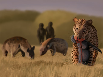 biped black_hair blood bodily_fluids brown_stripes carrying_corpse death facial_scar fatal_wound feral grass_field grey_body grey_skin group hair hill quadruped savanna scar standing stripes whiskers yellow_eyes young agustindiazart archaic_human dinofelis felid hominin homo_habilis hyena mammal prehistoric_species primate saber-toothed_tiger spotted_hyena 2022 4:3 hi_res