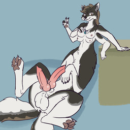 2_penises 4_balls animal_genitalia balls breasts erection fur genitals hair herm intersex multi_arm multi_balls multi_genitalia multi_limb multi_penis multi_tail nipples nude pawpads penis simple_background solo tail pimientanas sevten canid canid_taur canine canine_taur canis fox fox_taur hybrid mammal mammal_taur taur wolf digital_media_(artwork) hi_res