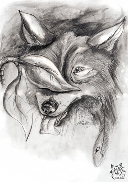 ambiguous_gender fangs feral front_view glistening glistening_eyes leaf logo open_mouth simple_background solo teeth tongue tongue_out kola_(artist) canid canine mammal 2013 artist_logo dated headshot_portrait monochrome portrait