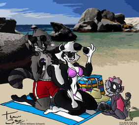 anthro clothing eyewear female male male/female one-piece_swimsuit sunglasses swimwear two-piece_swimsuit anonymous_artist sabrina_online danielle_(sabrina_online) richard_conrad sabrina_(sabrina_online) hybrid mammal mephitid procyonid raccoon skunk