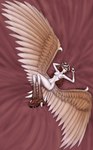 black_sclera breasts brown_hair feather_hair feathers feet female hair horn large_wings long_hair nipples pale_skin pseudo_hair small_waist solo talons toes medicinal_succ european_mythology greek_mythology mythology avian harpy humanoid mythological_avian mythological_creature absurd_res hi_res