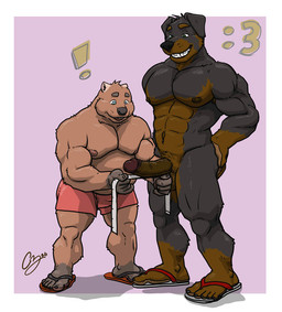 5_fingers 5_toes abs anthro areola biceps big_feet big_muscles big_penis biped black_body black_fur black_nose blue_eyes border bottomwear broad_shoulders brown_body brown_fur brown_nipples brown_penis buckteeth bulge calf_muscles cheek_tuft claws clothing deltoids duo ears_back emoticon erection exclamation_point facial_tuft fangs feet fingers flip_flops flip_flops_only floppy_ears footwear footwear_only forearm_muscles fur genitals glans gloves_(marking) green_eyes grey_body grey_claws grey_fur grey_nose grin hand_on_butt hand_on_own_butt hands_on_hips hands_on_own_hips head_tuft holding_measuring_tape holding_object humanoid_feet humanoid_genitalia humanoid_penis leg_markings looking_at_another looking_at_another's_penis looking_at_genitalia looking_at_penis male male/male markings measuring measuring_penis moobs mostly_nude multicolored_body multicolored_fur musclegut muscular muscular_anthro muscular_male navel nipples open_mouth pawpads pecs penis pink_nipples pink_pawpads pivoted_ears plantigrade pubes purple_background quads sandals sandals_only sharp_teeth shocked shoes shorts simple_background size_difference smile smug snout socks_(marking) standing stocky surprised tan_body tan_fur tape_measure teeth thick_limbs thick_penis thick_thighs tight_bottomwear tight_clothing tight_shorts toe_claws toes toothy_smile triceps tuft two_tone_body two_tone_fur vein veiny_penis whisker_spots white_border wide_eyed chestnuts_(artist) canid canine canis domestic_dog mammal marsupial mastiff molosser rottweiler vombatiform wombat 2026 cel_shading shaded signature
