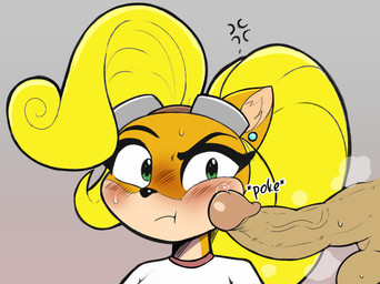 angry annoyed anthro aroused balls blonde_hair blush bodily_fluids cross-popping_vein duo ear_piercing eyewear female genital_fluids genitals goggles hair imminent_sex male male/female musk musky_penis penis piercing poking poking_cheek poking_penis precum sweat sweatdrop sweaty_balls sweaty_genitalia zombiedolly activision crash_bandicoot_(series) crash_team_racing_(series) coco_bandicoot bandicoot human mammal marsupial absurd_res colored hi_res