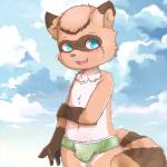 anthro blue_eyes blush briefs brown_body brown_fur bulge clothed clothing cloud cute_fangs fangs fur green_clothing green_underwear kemono looking_at_viewer male open_mouth simple_background skimpy sky solo teeth topless underwear water young young_anthro young_male nekowuwu jayce_(takerukun) domestic_cat felid feline felis hybrid mammal procyonid raccoon 1:1 hi_res