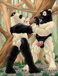 after_sex anthro anthro_on_anthro balls bodily_fluids cum cum_in_mouth cum_inside detailed_background duo erection forest genital_fluids genitals licking looking_at_viewer male male/male nude outside penis plant romantic romantic_couple snowballing tongue tongue_out tree wood dbruin bear giant_panda mammal