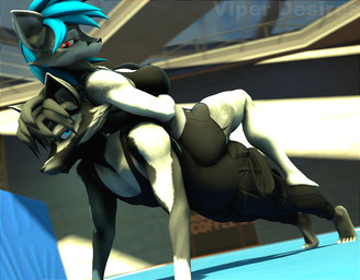 anthro black_body black_fur black_hair blue_eyes blue_hair bottomwear breasts clothing detailed_background duo exercise feet female fur grey_body grey_fur hair inside male male/female multicolored_body multicolored_fur push-up red_eyes shirt short_hair shorts smile tank_top text toes topwear two_tone_body two_tone_fur workout viper-desires alys_(viper-desires) jacob_(viper-desires) canid canine fox mammal 2023 3d_(artwork) artist_name digital_media_(artwork) source_filmmaker_(artwork) watermark