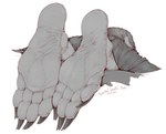 4_toes barefoot black_claws claws clothed clothing feet first_person_view foot_focus hair long_claws male not_furry paws plantigrade simple_background soles solo toe_claws toes wrinkled_feet wrinkles kredri disney treasure_planet captain_nathaniel_flint alien humanoid scalie greyscale hi_res monochrome