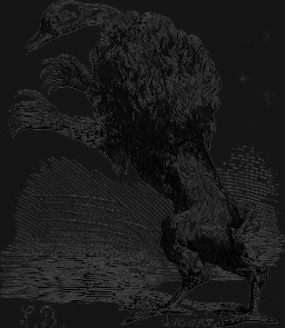 ambiguous_gender beak claws feral fur hair neck_tuft scut_tail short_tail solo standing tail tuft louis_le_breton dictionnaire_infernal ipos_(goetia) anatid anseriform anserine avian bird demon felid goose hybrid lagomorph leporid lion mammal pantherine rabbit 1863 19th_century alpha_channel ancient_art black_and_white hi_res monochrome signature male_(lore)