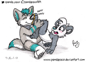 anthro black_nose blush cheek_tuft closed_smile duo eyes_closed facial_tuft fangs featureless_crotch feet foot_fetish foot_sniffing fur glistening glistening_eyes grey_body grey_fur grey_pawpads hair logo male male_anthro markings mouth_closed nude open_mouth pawpads simple_background smile sniffing teal_hair teal_markings teeth text tuft white_background white_body white_fur yellow_pawpads young young_anthro young_male pandapaco parinton bear canid canine giant_panda mammal 2017 artist_logo dated signature url