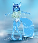 anthro blue_body blue_eyes blue_fur blue_hair bottomwear cheek_tuft chest_tuft clothing countershading detailed_background dipstick_tail dripping facial_tuft female fur hair hindpaw markings nipples pants paws pool shirt soaked solo tail tail_markings topwear translucent translucent_clothing tuft wet wet_clothing white_body white_countershading white_tail byondrage sinktember sinktember_2023 rage_(byondrage) canid canine canis mammal wolf absurd_res hi_res