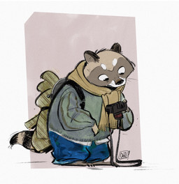 anthro backpack biped black_nose bottomwear brown_body camera clothing pants scarf solo sweater topwear dgollama mammal procyonid raccoon 2022 hi_res