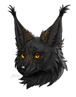 ambiguous_form ambiguous_gender black_body ears_up fluffy fur solo yellow_eyes conditional_dnp kiras_arkaneks canid canine fox hybrid mammal hi_res