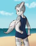 adolescent anthro backsack balls beach biped blue_clothing blue_swimwear clothing cloud detailed_background fur genitals green_eyes holding_tail looking_back male one-piece_swimsuit outside raised_tail sand seaside sex_toy sky solo standing swimwear tail vibrator water young young_anthro k0yangi goric canid canine fox mammal hi_res