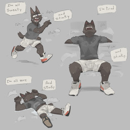 anthro bench biped black_body black_fur bodily_fluids bottomwear breath bulge clothing constricted_pupils dialogue eyes_closed flying_sweatdrops footwear fur grey_background grey_clothing grey_shirt grey_topwear head_tilted_back leaning leaning_backward lying male musk on_back on_bench open_mouth panting pupils running shirt shoes short_tail shorts simple_background sitting sitting_on_bench small_pupils sneakers solo speech_bubble sweat sweatdrop tail teeth text topwear wet wet_body wet_clothing wet_fur white_bottomwear white_clothing white_shorts gato_matero gato_matero_(character) domestic_cat felid feline felis mammal 1:1 absurd_res english_text hi_res multiple_scenes
