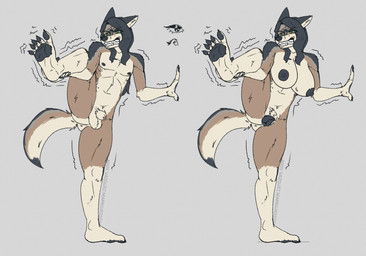5_fingers 5_toes animal_genitalia animal_vulva anthro balls black_body black_fur black_hair black_nipples black_paws black_tail_tip breasts brown_body brown_fur canine_genitalia canine_vulva clenched_teeth dipstick_tail feet female fingers fur genitals grey_background hair long_hair male markings nipples pawpads penis plantigrade plantigrade_pawpads sheath simple_background solo stretching_legs struggling tail tail_markings tan_body tan_fur teeth toes vulva usuario2 andy_vazquez_(usuario2) canid canine canis mammal mexican_wolf wolf 2026 digital_drawing_(artwork) digital_media_(artwork) hi_res