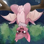 after_sex animal_genitalia balls blush bodily_fluids cum cum_in_mouth cum_inside cum_on_body genital_fluids genitals hanging_from_branch male membrane_(anatomy) membranous_wings night nude penis sheath solo upside_down wings xenoyia fruit_slice_(yurusa) bat mammal hi_res