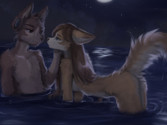 all_fours anthro biped breasts brown_body brown_eyes brown_fur brown_hair brown_tail butt cloud countershade_fur countershade_torso countershading duo ear_piercing eye_contact female fur gauged_ear hair inner_ear_fluff looking_at_another male moon night nude nude_anthro nude_female nude_male outside partially_submerged piercing sky small_breasts smile star tail tuft water wet wet_body wet_fur yshanii cotton_(yshanii) tinygaypirate_(fursona) canid canine canis dingo domestic_dog mammal 2025 digital_media_(artwork) hi_res